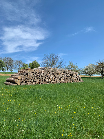 An open-air woodpile on a green lawn in spring in Germany. Against the background are fruit trees in bloom and blue sky. Vertical photo.
