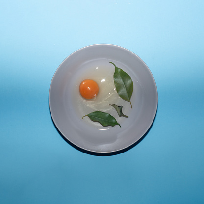 Egg on a plate with green leaves creative concept on a blue background.