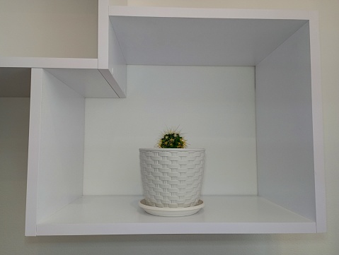A pot with a cactus stands on a white shelf attached to a white wall. The topic of house plants and their placement in the interior of rooms. Contract for indoor plants.