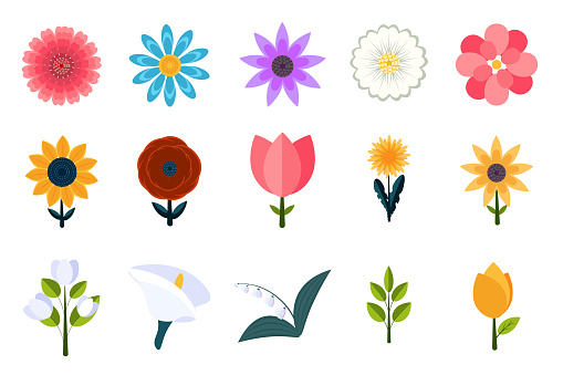 Flowers icons. Vector design elements. Floral design elements.