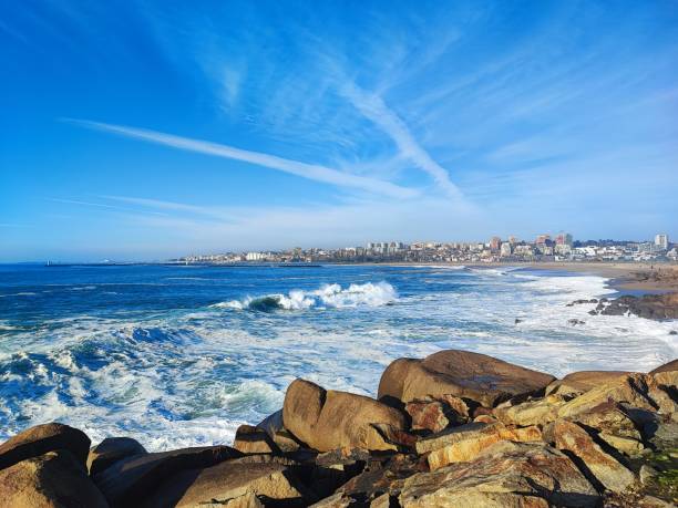 istock Ocean shore in Portugal in summer 2149857786