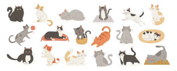 Adorable Cartoon Cats Collection. Flat Color Vector Cat Icon Set in Different Poses - Sleeping, Stretching, Playing, Sitting. Funny and Cute Pet Animals, Isolated. Vector illustration Adorable Cartoon Cats Collection. Flat Color Vector Cat Icon Set in Different Poses - Sleeping, Stretching, Playing, Sitting. Funny and Cute Pet Animals, Isolated. Vector illustration. kitten playing with yarn stock illustrations