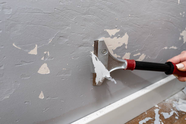 istock Removing silicone paint from a wall damaged by dog claws using a paint and adhesives scraper, womans hand visible. 2149859514