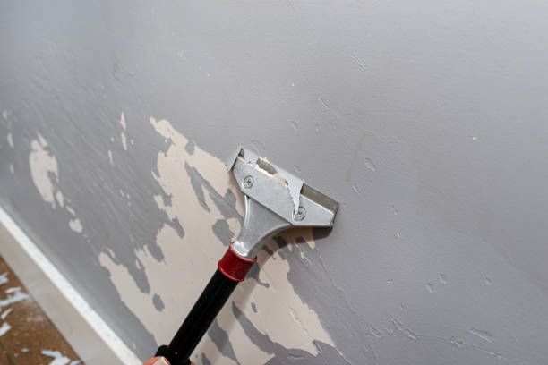 istock Removing silicone paint from a wall damaged by dog claws using a paint and adhesives scraper, womans hand visible. 2149859573