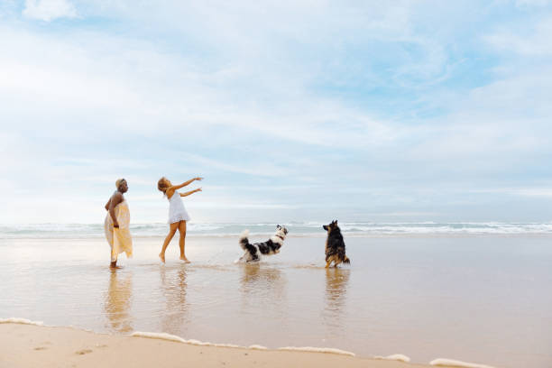 istock people playing with their dogs on the beach 2149860499