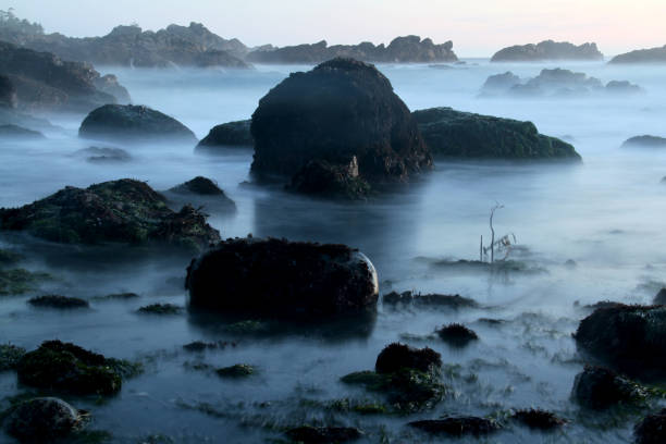 The Coast of Tofino, on Vancouver Island.