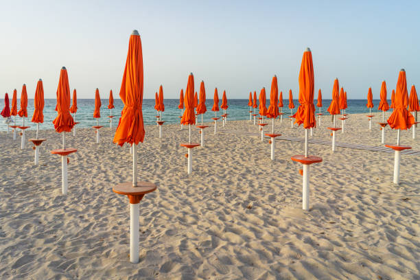 Bright orange beach umbrellas against a blue sea/sky background