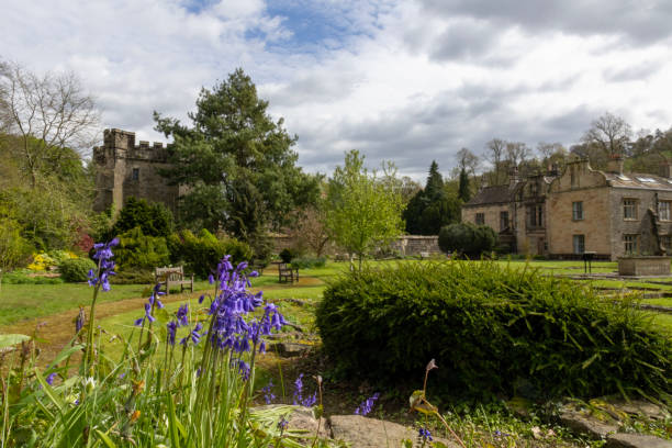 istock Blue Bells in a Garden 2149863440