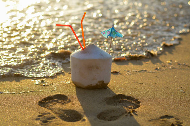 A frosty coconut cocktail, adorned with condensation, awaits on the sun-kissed beach, blending creamy coconut milk with invigorating rum and a hint of tangy lime. With each sip, it offers a taste of paradise, evoking the essence of tropical bliss amidst the serenade of crashing waves.\