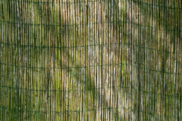 Wicker fence made of small twigs. Backgrounds and textures. Eco-friendly fence.