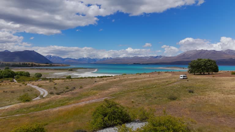 Drone establishing shot of Lupin flowers in front and person in front of picturesque of Lake Tekapo in New Zealand. Aerial forward passing by.