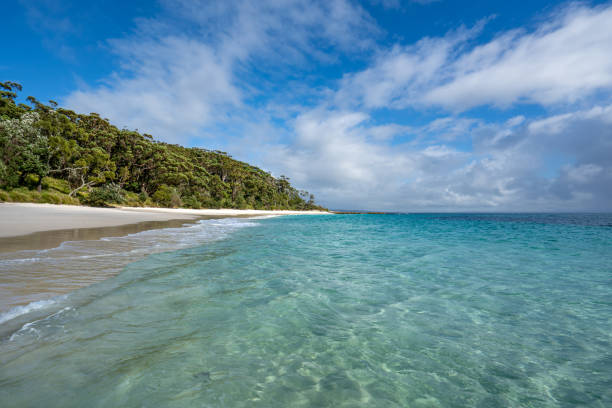 Beautiful White Sand Beach in Eastern Australia