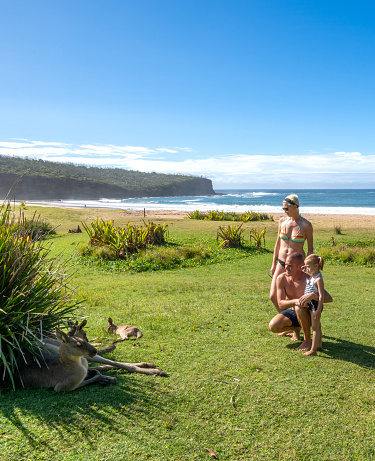 Mother, Father, and Daughter looking at a kangaroo mob relaxing on the beach in Eastern Australia