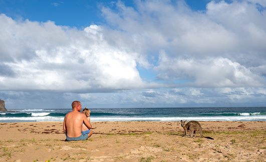 Father, and Daughter sitting on a sandy beach next to an Eastern Gray Kangaroo joey in Eastern Australia
