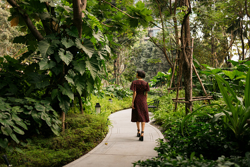 Rear view of young woman walking on footpath in the park. Female in casuals looking at the trees while strolling through a public park.
