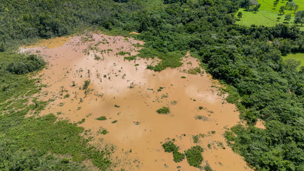 istock marsh brown water around a stream and riparian forest 2149877050