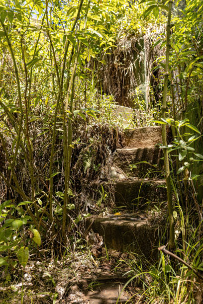Mountain path