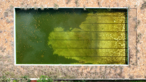 Stock photo showing close-up, elevated view of public swimming pool with turquoise blue mosaic tiles. A red no diving warning sign is painted on the surrounding patio area for health and safety to prevent accidents and potential drowning hazard for swimmers.
