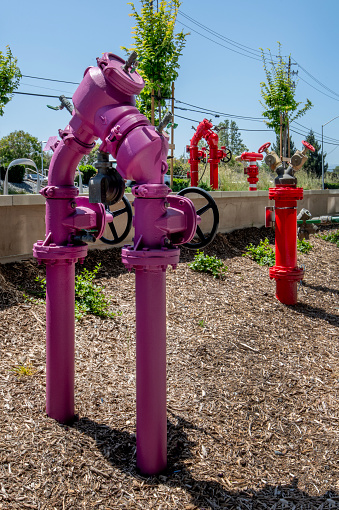Fire control standpipe with backflow preventer