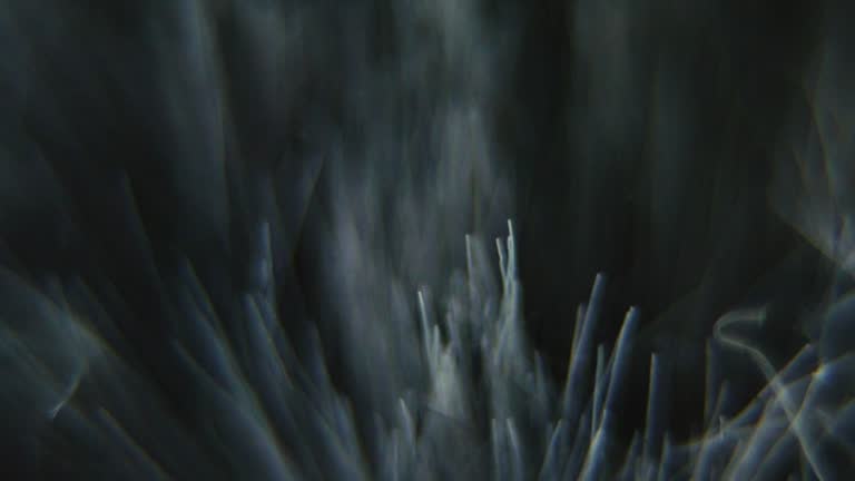 Macro shot of a windscreen of a shotgun microphone, furry cover close up, camera gear, sound record equipment, slow motion 120 fps, Full HD, tilt up smooth movement