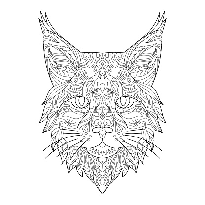 Lynx head line art for children or adult coloring book. Vector graphic, coloring page. Hand-drawn with ethnic floral doodle pattern, spiritual relaxation.