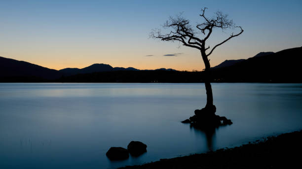 istock The Lone Tree at Loch Lomond, Scotland 2149889678