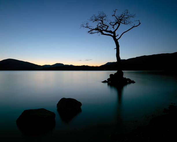 istock The Lone Tree at Loch Lomond, Scotland 2149889704