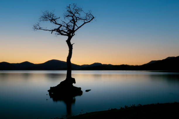 istock The Lone Tree at Loch Lomond, Scotland 2149889720