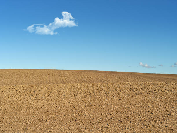 istock Soil prepared for planting crops during a sunny and dry springtime day. 2149889952