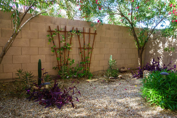 Morning pattern of lights and shadows with green, purple and red colors of xeriscaped desert garden in Arizona spring time