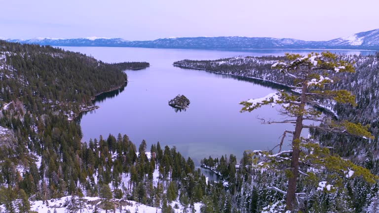Aerial view of Emerald Bay overlook, Lake Tahoe, California with tree in foreground winter