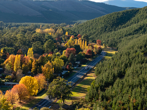Autumn trees line the Great Alpine Road into Bright in the Victorian High Country