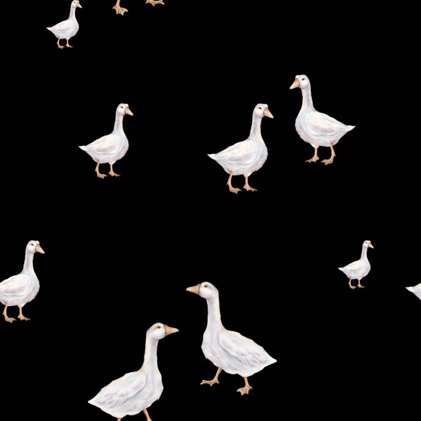 Watercolor seamless pattern with goose farm bird. Tender watercolor illustration on a isolated on background. Domestic white and gray watercolor cute farm bird. Hand drawn illustration farm birds.