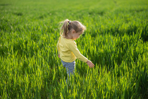 istock Happy Child in Wheat Field at Sunset, copy space. 2149896678