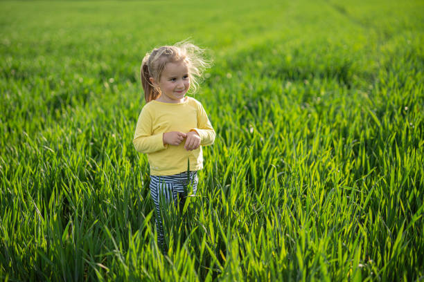 istock Happy Child in Wheat Field at Sunset, copy space. 2149896681