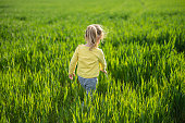 Happy Child in Wheat Field at Sunset, copy space.