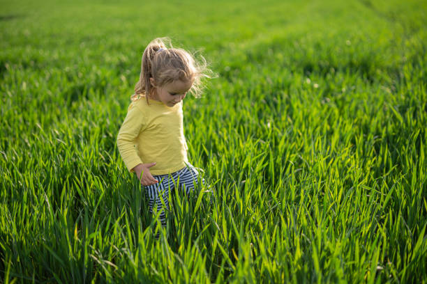 istock Happy Child in Wheat Field at Sunset, copy space. 2149896683