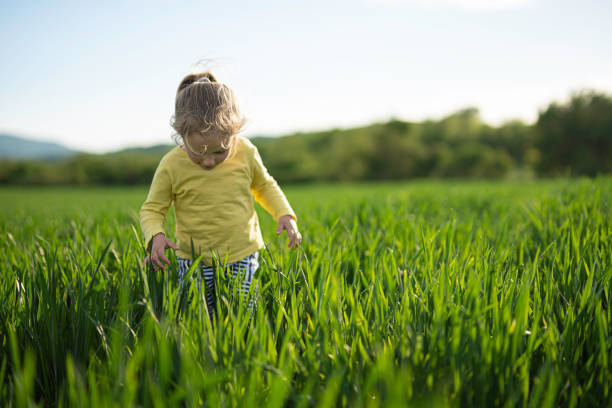 istock Happy Child in Wheat Field at Sunset, copy space. 2149896688