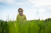 Happy Child Portrait in Wheat Field at Sunset, copy space.