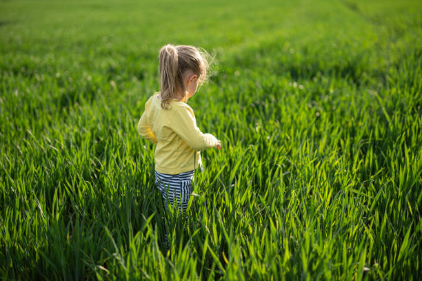 istock Happy Child in Wheat Field at Sunset, copy space. 2149896692