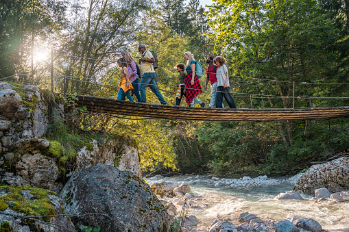 A multiethnic multigenerational family engages in a joyful trek, crossing a wooden bridge above a stream, surrounded by lush greenery.