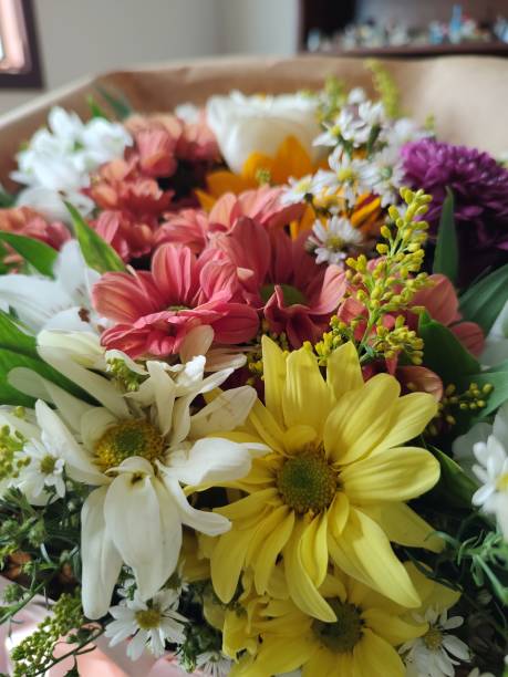 istock Colors and flowers 2149898777