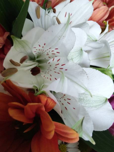 istock Colors and flowers 2149898818