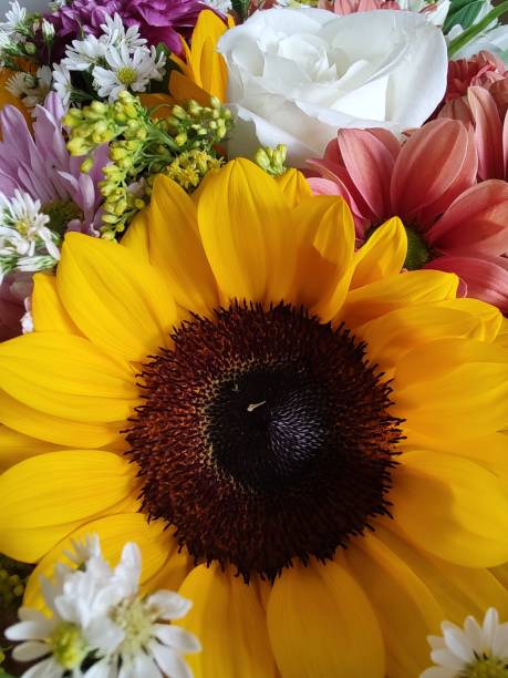 istock Colors and flowers 2149898849