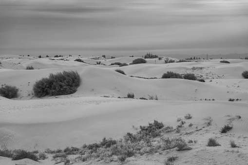 Tengger desert scenery, Inner Mongolia, China. The windy weather with sand moving on Dunes, BLACK AND WHITE