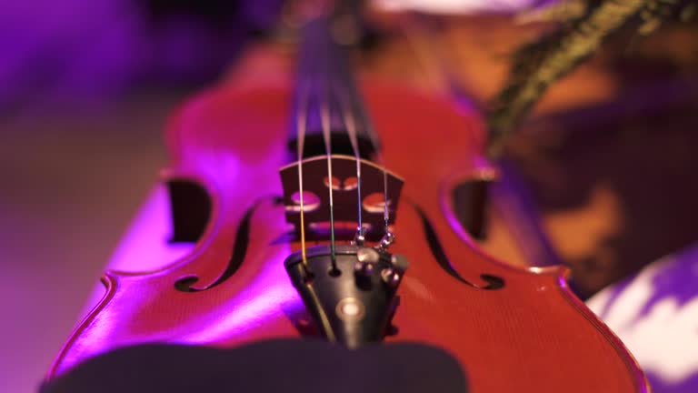 Close-up of the parts of a violin, strings, bridge, tuners and flanges. Traveling. Slow motion 100 fps