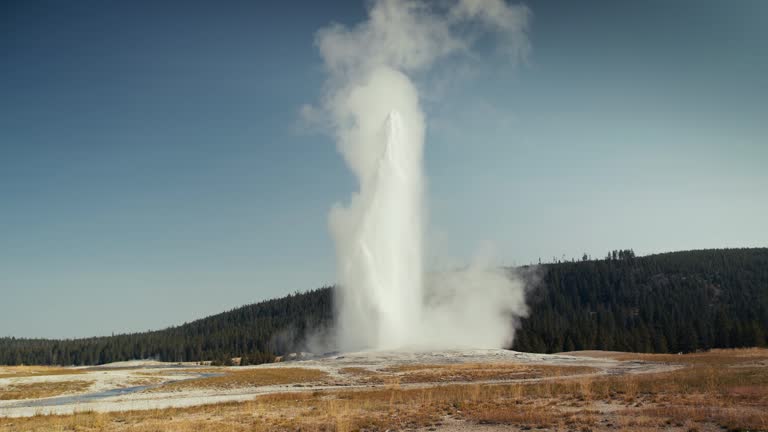 Incredible shot of Old Faithful in Yellowstone National park as it erupts.