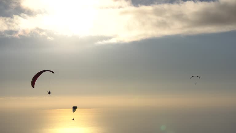 Paragliders flying with sunset view