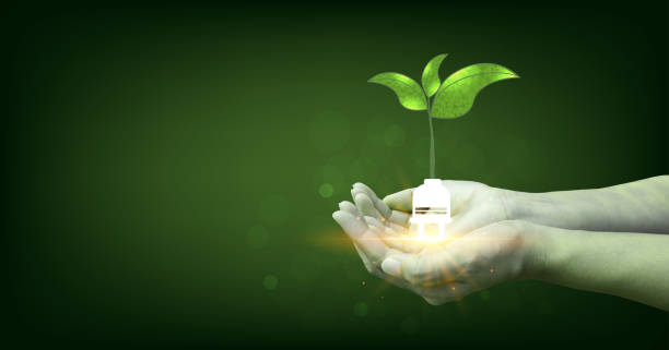 istock Power plug with Green leaves on a dark green background. 2149913015