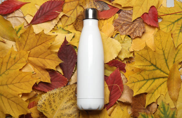 istock Thermos bottle on fallen autumn leaves 2149914537